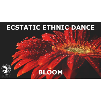 03/05 - Ecstatic Dance met live muziek - DJ Boto - Torhout